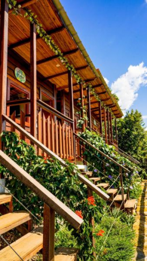 Ecodreamers Curiti